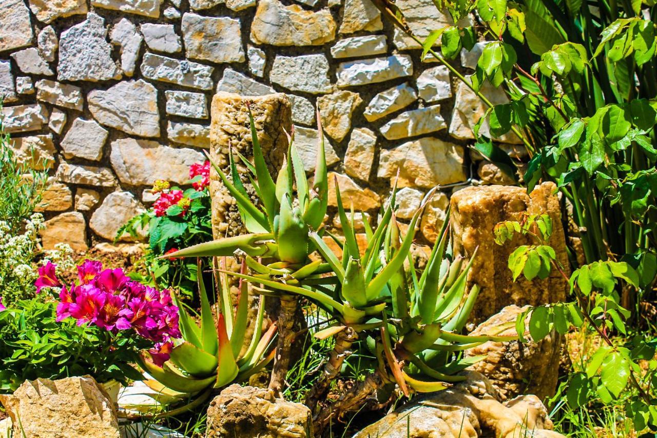Vakantiehuis Pelagias Garden House *